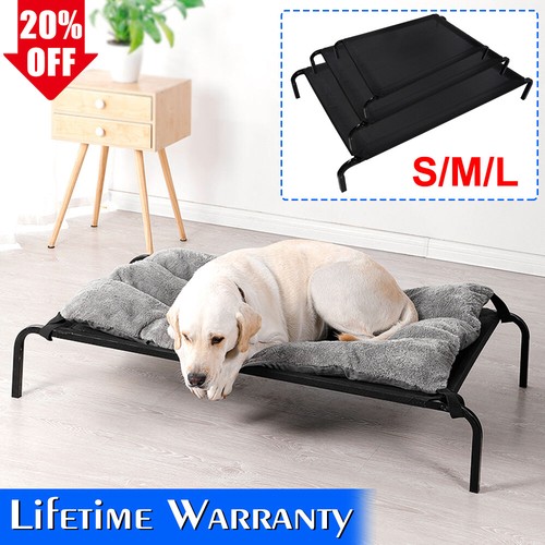 Pet elevated bed - elevated, cat