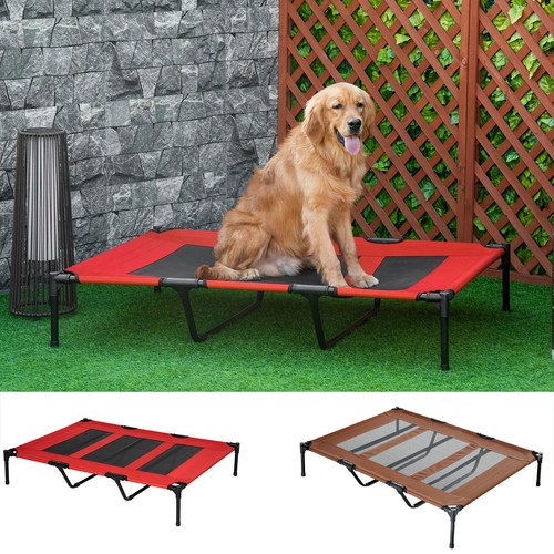 Cooling elevated dog - elevated,